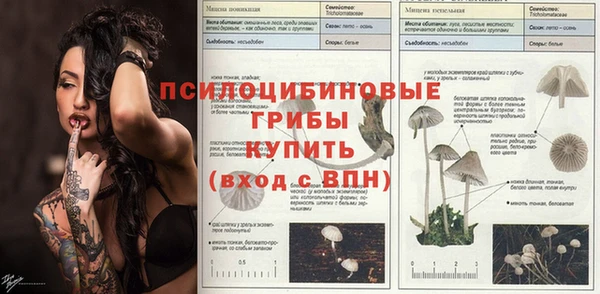 шишки Аркадак