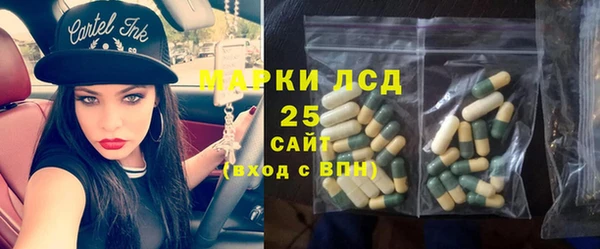 шишки Аркадак