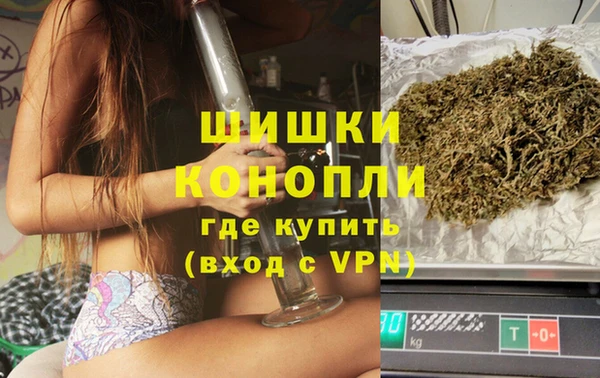 шишки Аркадак