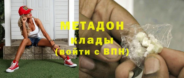 шишки Аркадак