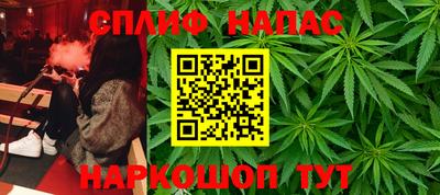 трава Бийск