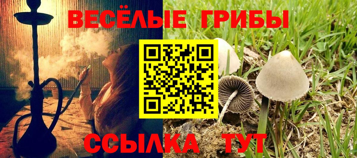 Псилоцибиновые грибы мухоморы  Галлюциногенные грибы GOLDEN TEACHER  Асино  Вход с VPN 