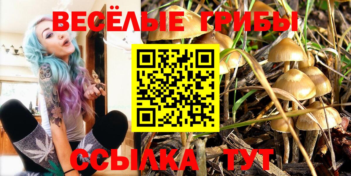 Галлюциногенные грибы Magic Shrooms  Асино 